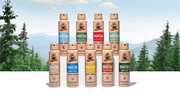Spray Deodorant 6-Pack - Bright Gift Rotation
