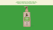 Cool Fresh Aloe Lotion - Modern Daily Hydration