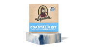 Coastal Mist - Bright Morning Wash