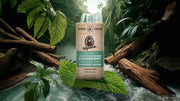 Rainforest Rapids Deodorant - Active Ready