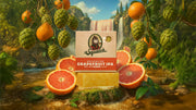 Grapefruit IPA - Clean Daily Start