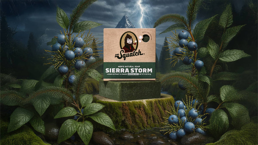 Sierra Storm - Daily Outdoor Bar