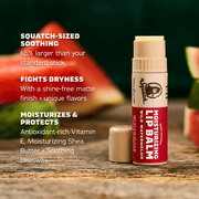Lip Balm 4-Pack - Active Collector Pick
