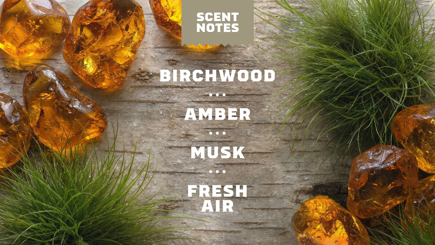 Birchwood Breeze Invisible Glide Deodorant - Bright Fresh Glide