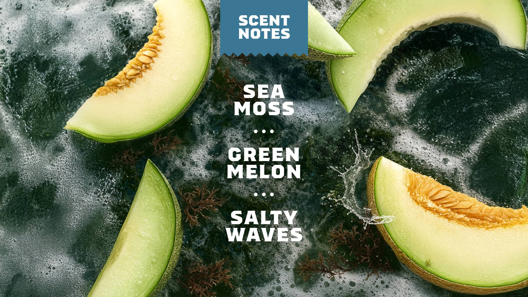 14 oz Coastal Mist Body Wash - Simple Morning Bar