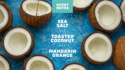 Coconut Castaway Conditioner - Fresh Smooth Clean