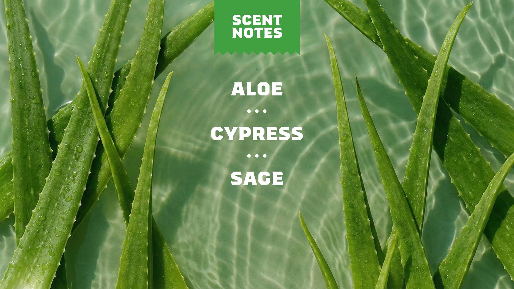 Cool Fresh Aloe Deodorant - Travel Outdoor Glide