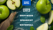 Fresh Falls Shampoo - Clean Smooth Routine