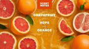Grapefruit IPA - Clean Daily Start