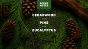 Pine Tar Invisible Glide Deodorant - Classic Clean Carry