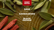 Sandalwood Summit Invisible Glide Deodorant - Travel Routine