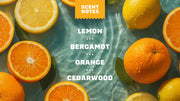 14 oz Summer Citrus Body Wash - Forest Fresh Wash