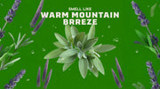 Alpine Sage - Daily Trail Routine