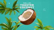 14 oz Coconut Castaway Body Wash - Trail Outdoor Start