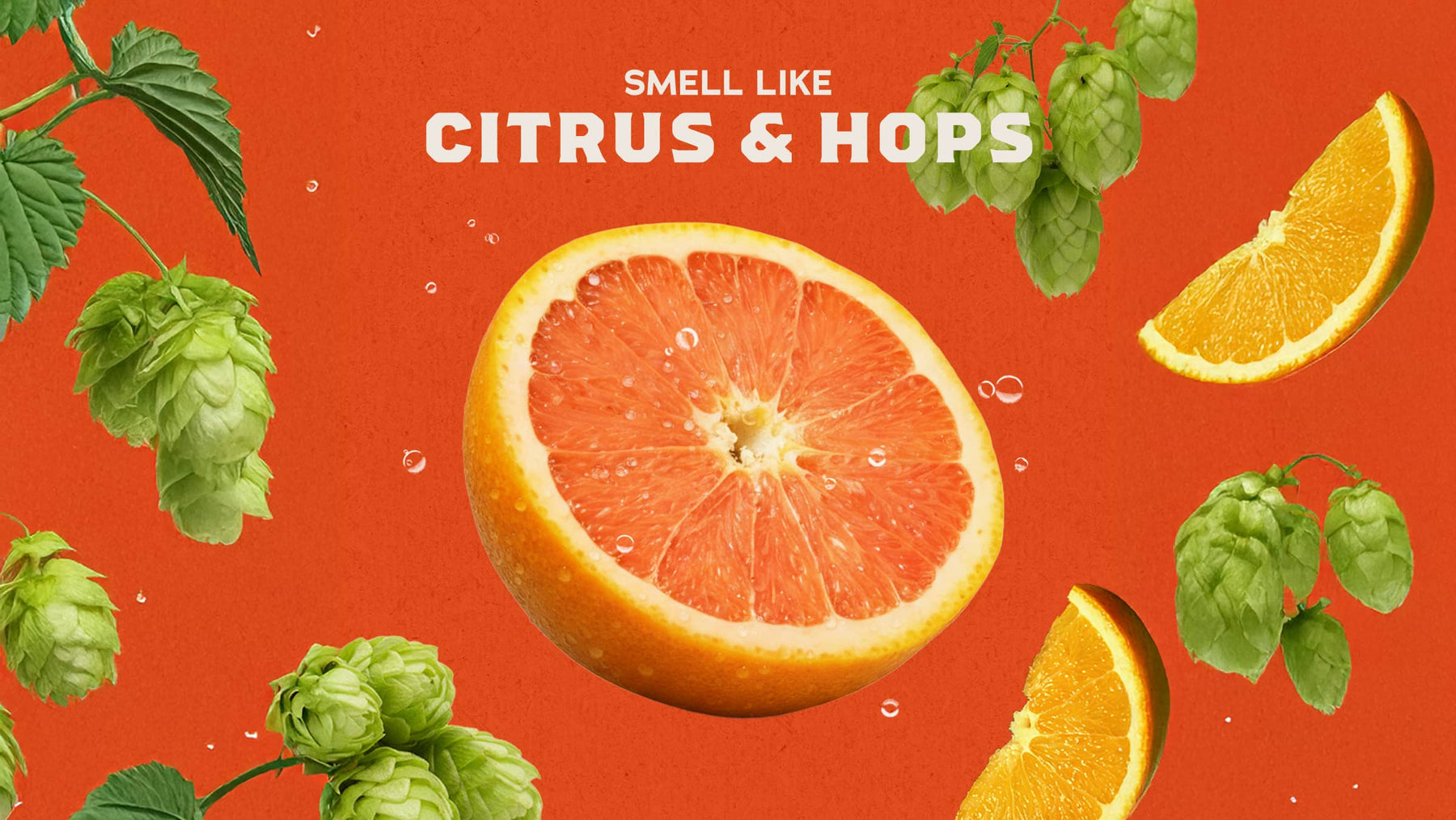 Grapefruit IPA - Clean Daily Start