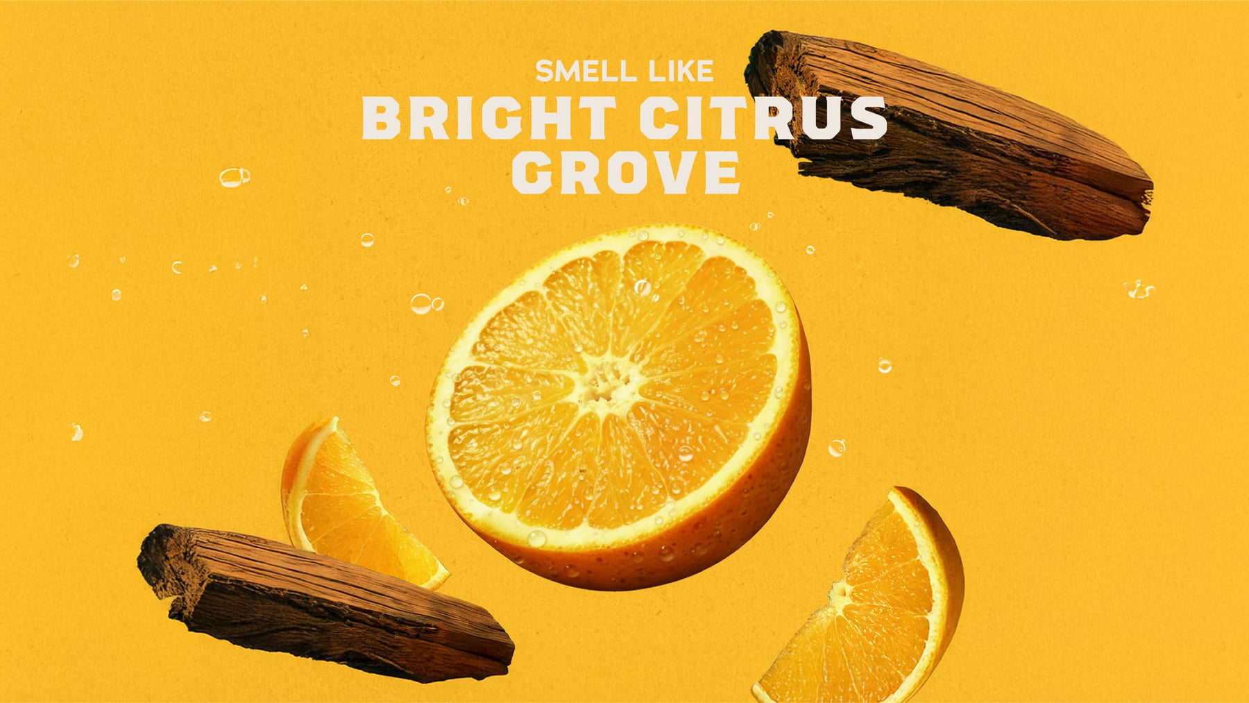 14 oz Summer Citrus Body Wash - Classic Morning Routine
