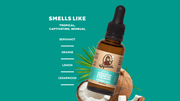 Beard Oil 3-Pack - Premium Choice
